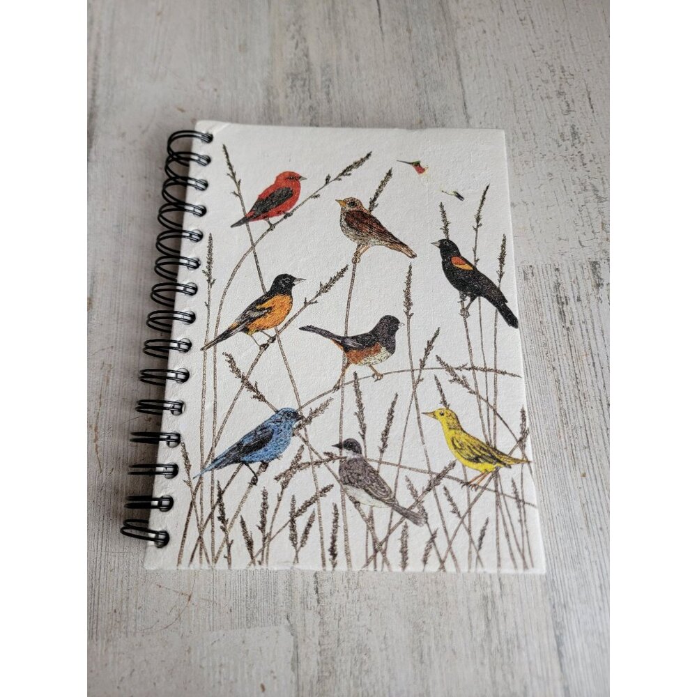 Variety bird blue jay sketch book hummingbird‎ cardinal unique